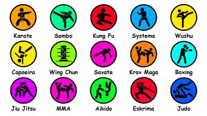 Every Martial Art Explained: From Karate to MMA – The Real Power Behind Combat Styles That Shocked the World