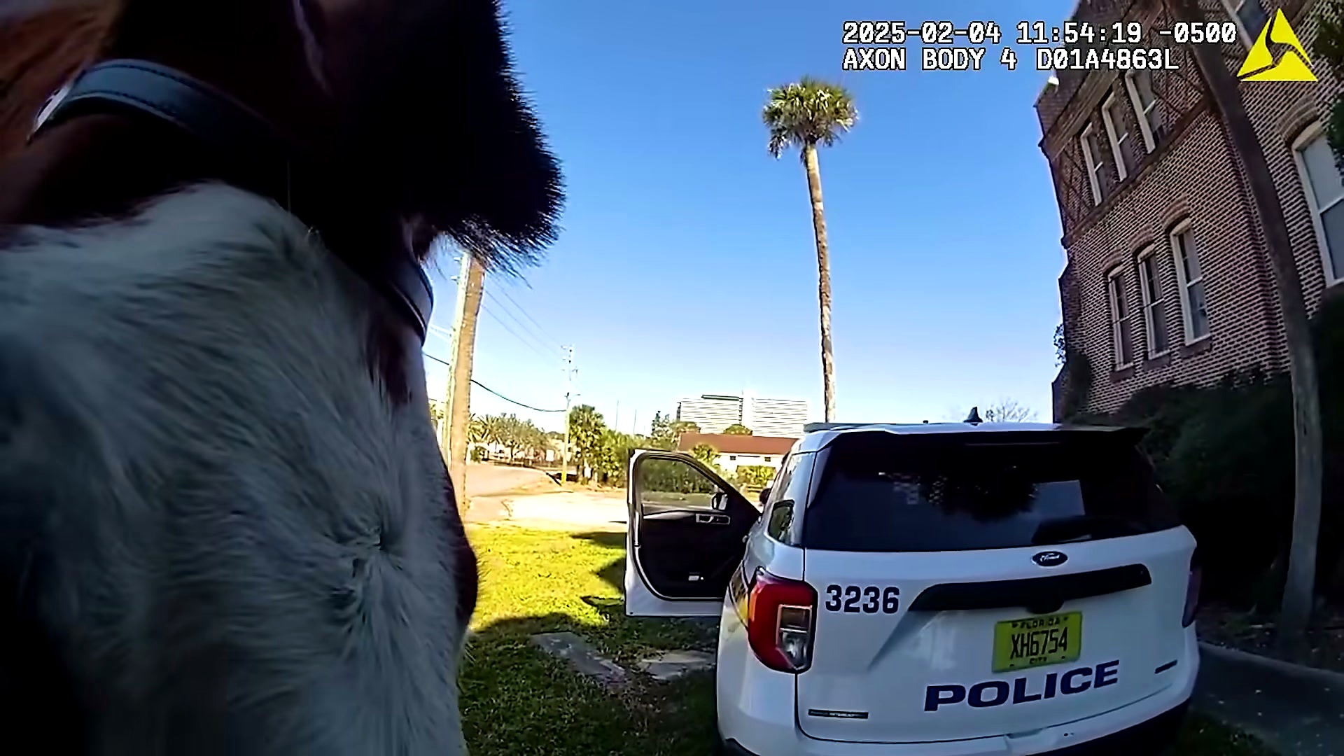 A police vehicle and mounted patrol horse appear during the follow-up investigation.