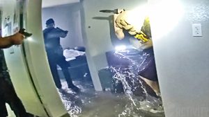 navyago-youtube-source-cover source video cover from YouTube - Barricaded Suspect Apartment Fire Video: 7 Source Facts - YouTube source thumbnail