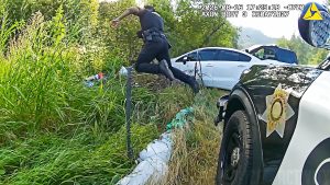 navyago-youtube-source-cover source video cover from YouTube - North Bend Robbery Pursuit Video: 7 Source Facts - YouTube source thumbnail