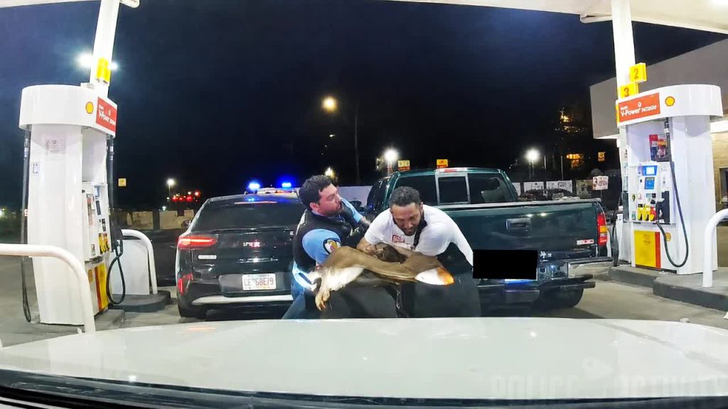 Oak Park officer shooting video