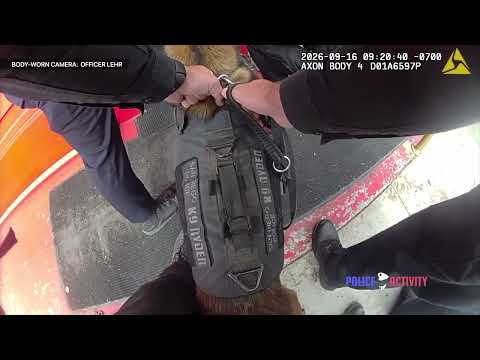 San Diego Police incident, source video frame 2