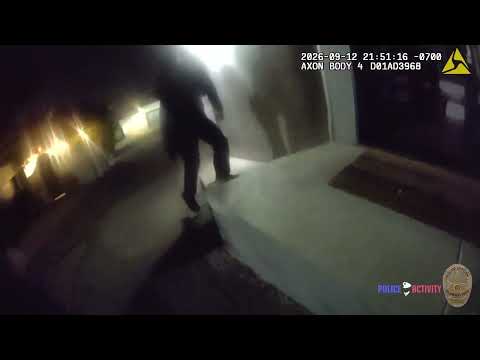LAPD officers open fire, source video frame 1