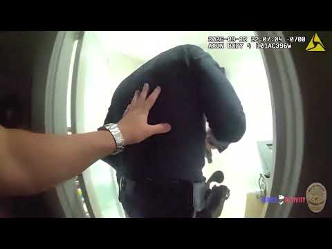 LAPD officers open fire, source video frame 2