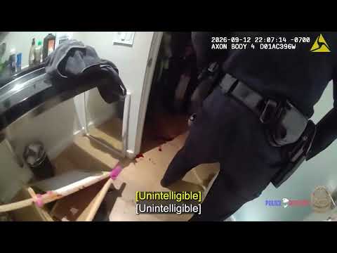 LAPD officers open fire, source video frame 3