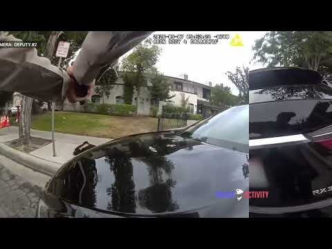 armed suspect, source video frame 3