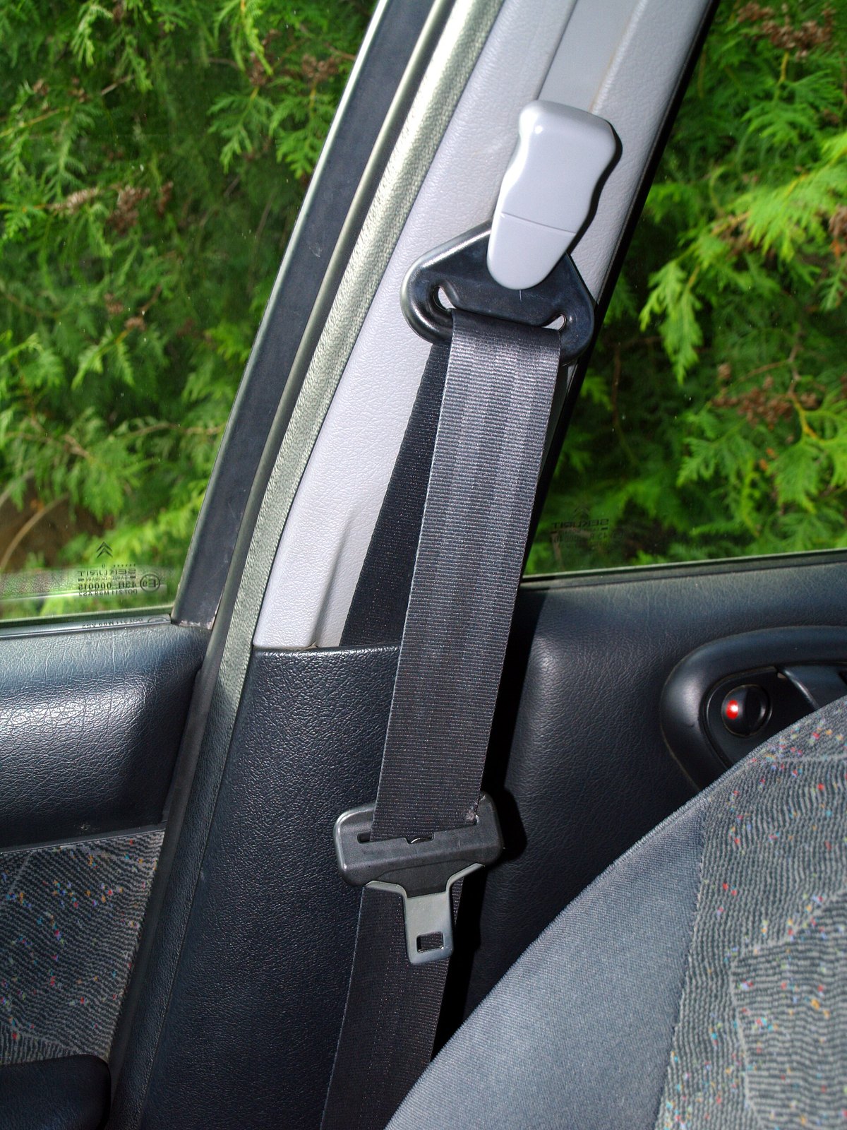 Vehicle seat belt fastened into buckle assembly
